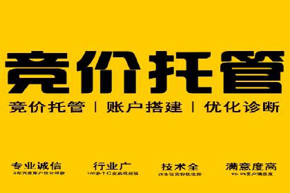 竞价SEM托管助力企业实现精准营销目标
